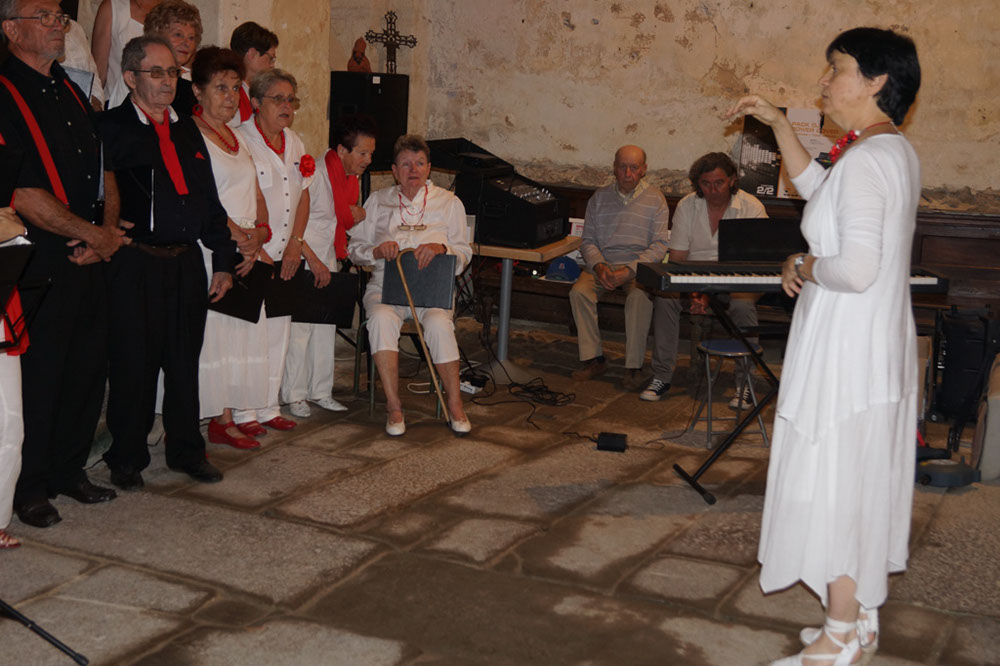 2015-06-27 concert vieux-st-hilaire (26)