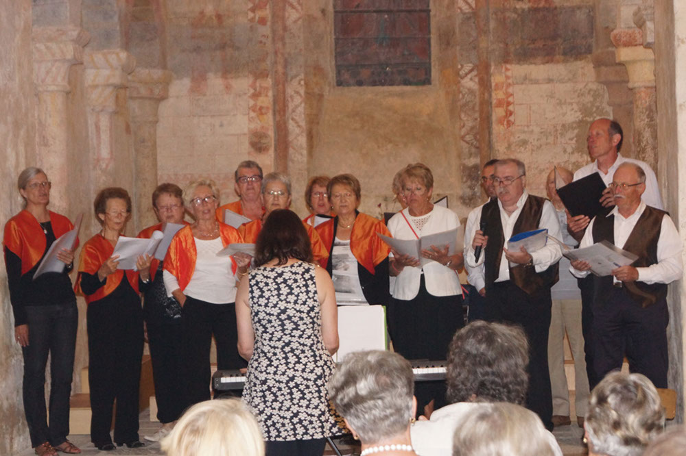 2015-06-27 concert vieux-st-hilaire (39)