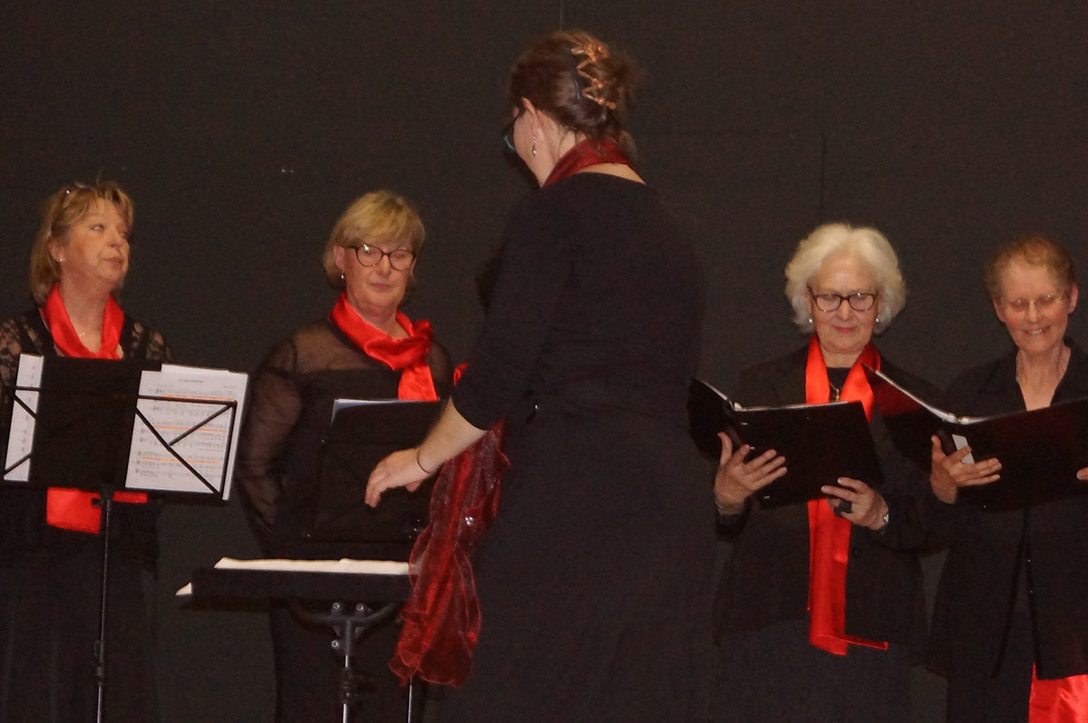 2016-04-03 Concert Magnac-laval Melodica (30)