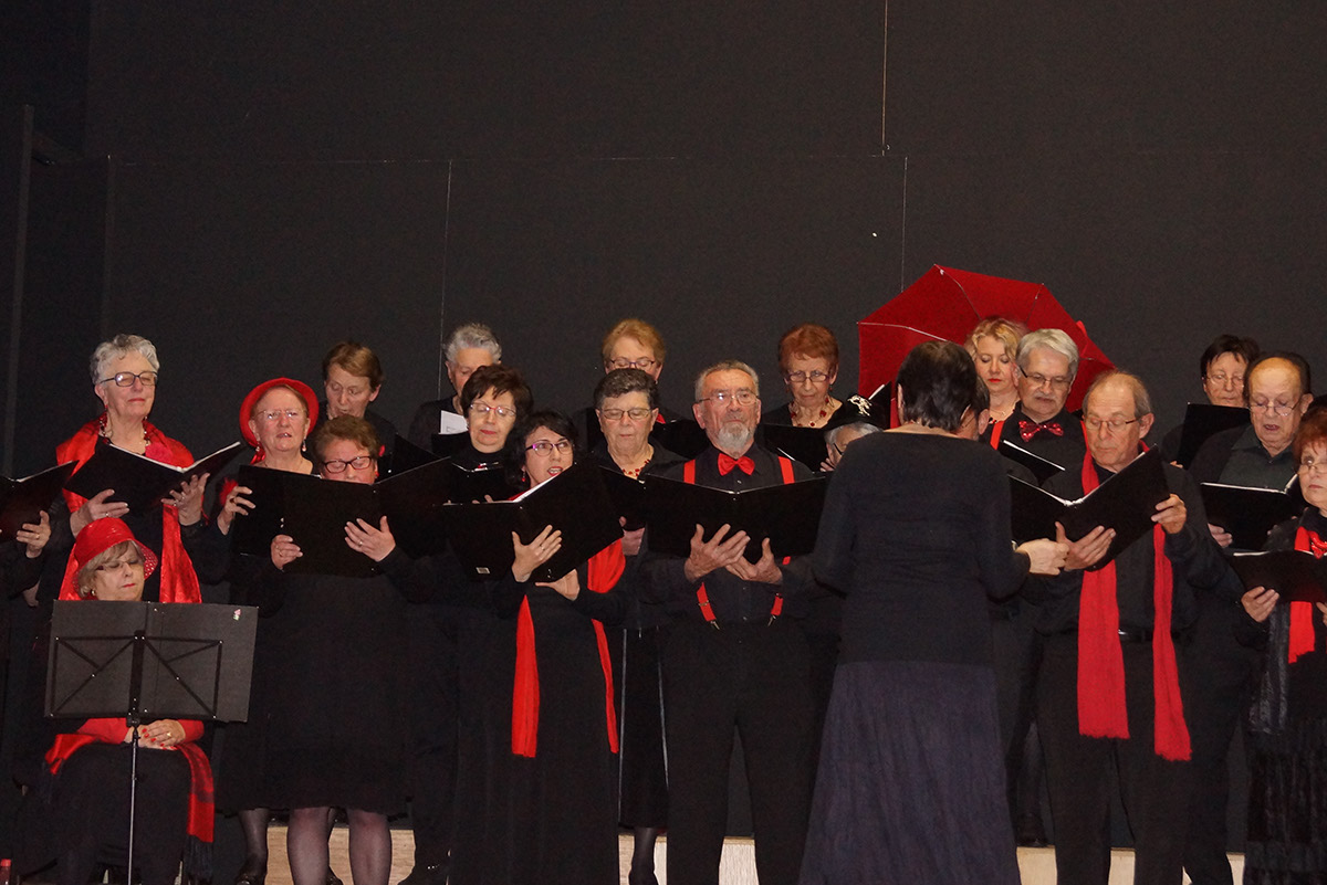 2016-04-03 Concert Magnac-laval point-dorgue (88)