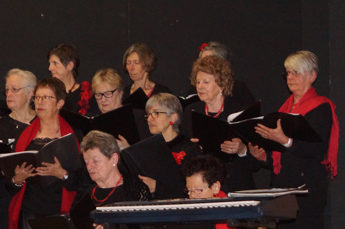 2016-04-03 Concert Magnac-laval point-dorgue (89)