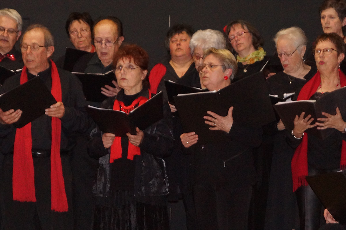 2016-04-03 Concert Magnac-laval point-dorgue (90)