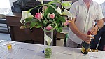 2018-06-02-pointdorgue-pipriac-accueil-HH- (107).jpg 2018-06-02-pointdorgue-pipriac-accueil-HH- (107).jpg