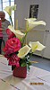 2018-06-02-pointdorgue-pipriac-accueil-HH- (114).jpg 2018-06-02-pointdorgue-pipriac-accueil-HH- (114).jpg