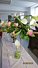 2018-06-02-pointdorgue-pipriac-accueil-HH- (115).jpg 2018-06-02-pointdorgue-pipriac-accueil-HH- (115).jpg