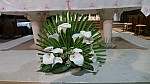 2018-06-02-point-dorgue-pipriac-concert-RF (144).jpg 2018-06-02-point-dorgue-pipriac-concert-RF (144).jpg