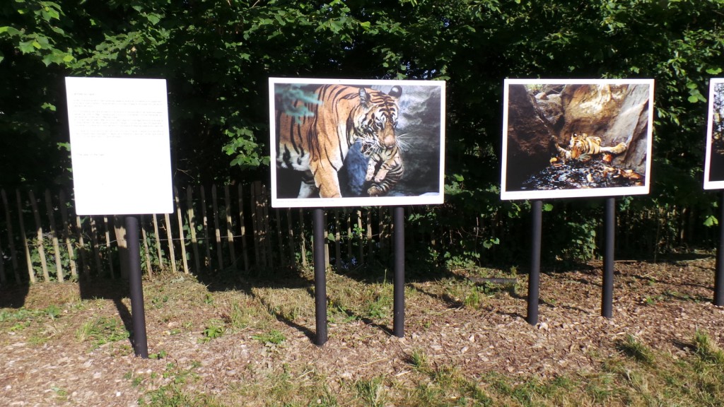 2018-06-03-point-dorgue-pipriac-la-gacilie-RF (104).jpg