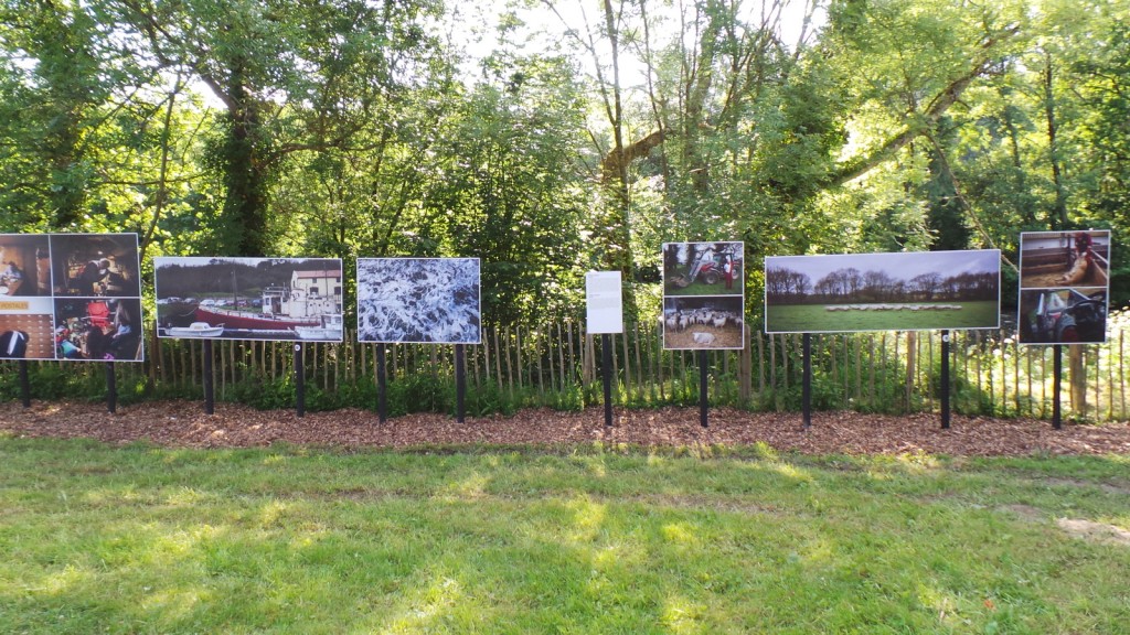 2018-06-03-point-dorgue-pipriac-la-gacilie-RF (116).jpg