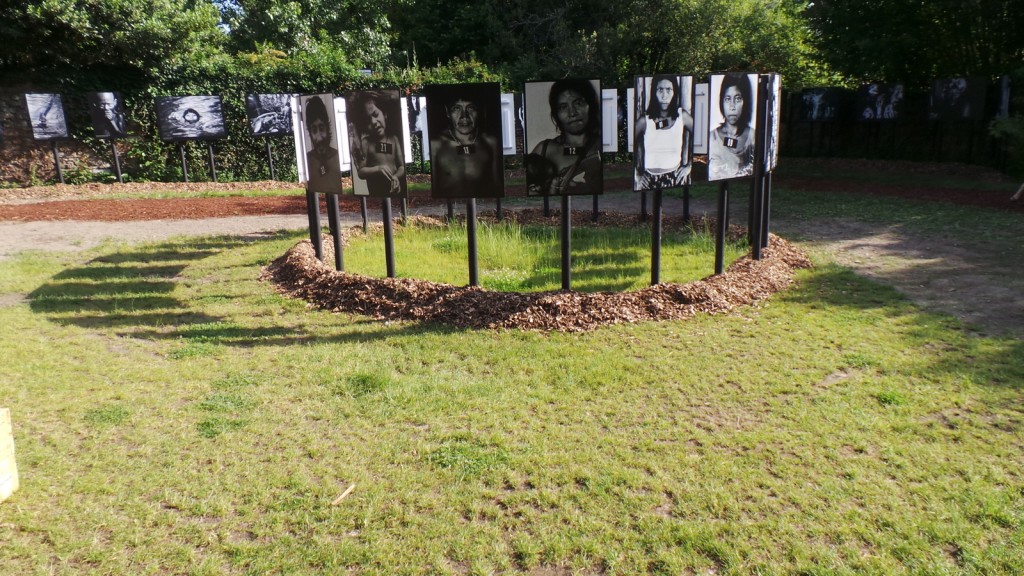 2018-06-03-point-dorgue-pipriac-la-gacilie-RF (118).jpg