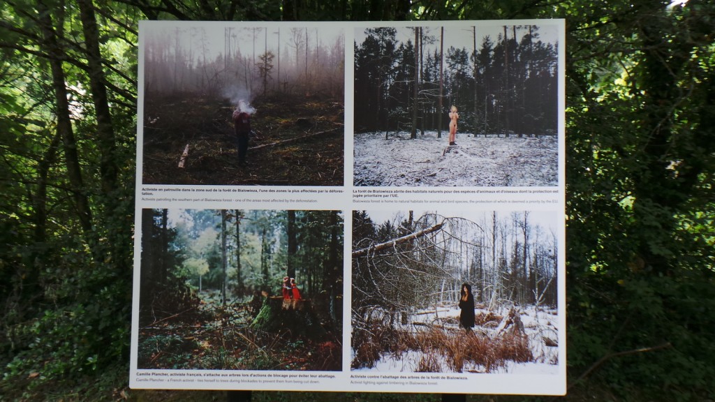 2018-06-03-point-dorgue-pipriac-la-gacilie-RF (136).jpg