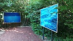 2018-06-03-point-dorgue-pipriac-la-gacilie-RF (101).jpg 2018-06-03-point-dorgue-pipriac-la-gacilie-RF (101).jpg