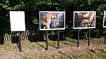 2018-06-03-point-dorgue-pipriac-la-gacilie-RF (104).jpg 2018-06-03-point-dorgue-pipriac-la-gacilie-RF (104).jpg