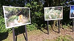 2018-06-03-point-dorgue-pipriac-la-gacilie-RF (105).jpg 2018-06-03-point-dorgue-pipriac-la-gacilie-RF (105).jpg