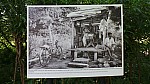 2018-06-03-point-dorgue-pipriac-la-gacilie-RF (119).jpg 2018-06-03-point-dorgue-pipriac-la-gacilie-RF (119).jpg