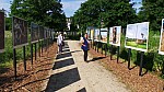 2018-06-03-point-dorgue-pipriac-la-gacilie-RF (120).jpg 2018-06-03-point-dorgue-pipriac-la-gacilie-RF (120).jpg