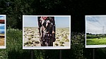 2018-06-03-point-dorgue-pipriac-la-gacilie-RF (121).jpg 2018-06-03-point-dorgue-pipriac-la-gacilie-RF (121).jpg