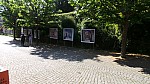 2018-06-03-point-dorgue-pipriac-la-gacilie-RF (129).jpg 2018-06-03-point-dorgue-pipriac-la-gacilie-RF (129).jpg