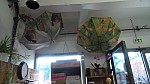 2018-06-03-point-dorgue-pipriac-la-gacilie-RF (132).jpg 2018-06-03-point-dorgue-pipriac-la-gacilie-RF (132).jpg