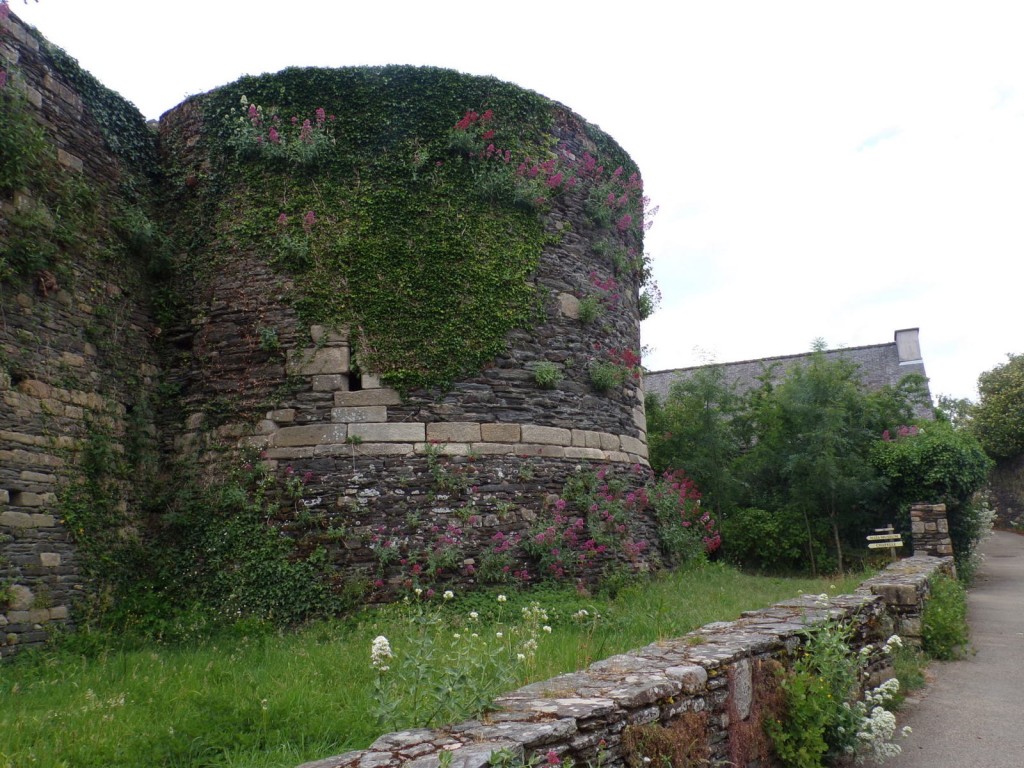 2018-06-03-pointdorgue-pipriac-rochefort-GD- (198).jpg