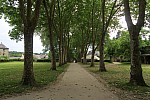 2018-06-02-Chorale-Pipriac-Rochefort(160).jpg 2018-06-02-Chorale-Pipriac-Rochefort(160).jpg