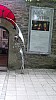 2018-06-03-point-dorgue-pipriac-Rochefort-RF (186).jpg 2018-06-03-point-dorgue-pipriac-Rochefort-RF (186).jpg