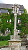 2018-06-03-point-dorgue-pipriac-Rochefort-RF (194).jpg 2018-06-03-point-dorgue-pipriac-Rochefort-RF (194).jpg