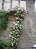 2018-06-03-pointdorgue-pipriac-rochefort-GD- (163).jpg 2018-06-03-pointdorgue-pipriac-rochefort-GD- (163).jpg