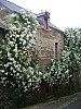2018-06-03-pointdorgue-pipriac-rochefort-GD- (167).jpg 2018-06-03-pointdorgue-pipriac-rochefort-GD- (167).jpg