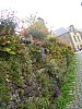 2018-06-03-pointdorgue-pipriac-rochefort-GD- (168).jpg 2018-06-03-pointdorgue-pipriac-rochefort-GD- (168).jpg