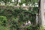 2018-06-03-Chorale-Pipriac-Rochefoert-DC (131).jpg 2018-06-03-Chorale-Pipriac-Rochefoert-DC (131).jpg