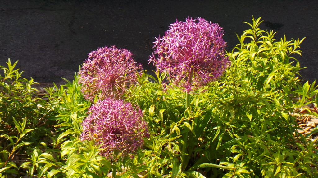 2018-06-02-point-dorgue-pipriac-voyage-aller-RF (102).jpg