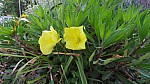 2018-06-02-point-dorgue-pipriac-voyage-aller-RF (109).jpg 2018-06-02-point-dorgue-pipriac-voyage-aller-RF (109).jpg