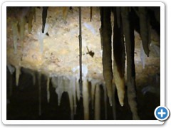 2024-06-08-grotte-tourtoirac- (83)