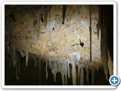 2024-06-08-grotte-tourtoirac- (84)