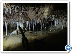 2024-06-08-grotte-tourtoirac- (86)