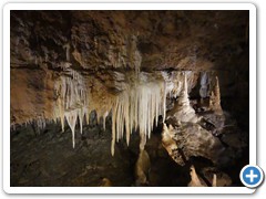 2024-06-08-grotte-tourtoirac- (92)