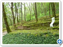 2024-06-08-Jardin-imaginaire (11)