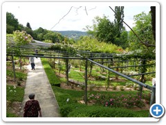 2024-06-08-Jardin-imaginaire (62)