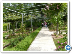 2024-06-08-Jardin-imaginaire (65)