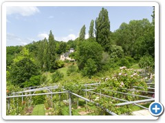 2024-06-08-Jardin-imaginaire (66)