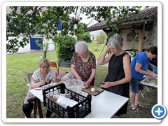 IMG_7205